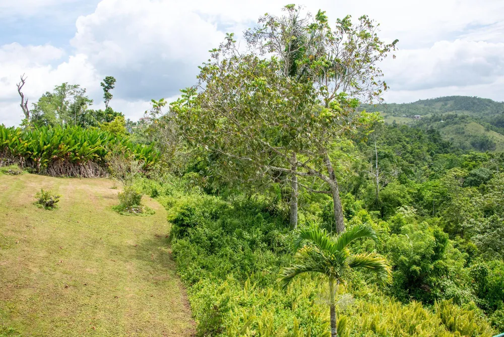 MOUNT PLEASANT St. Ann