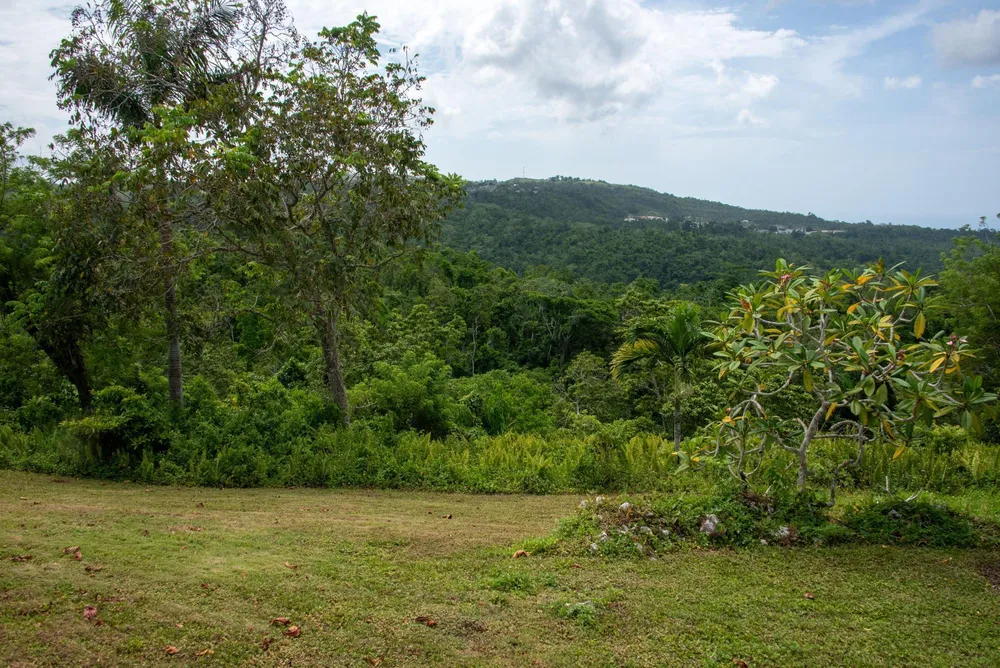 MOUNT PLEASANT St. Ann
