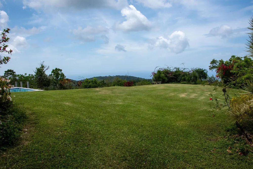 MOUNT PLEASANT St. Ann