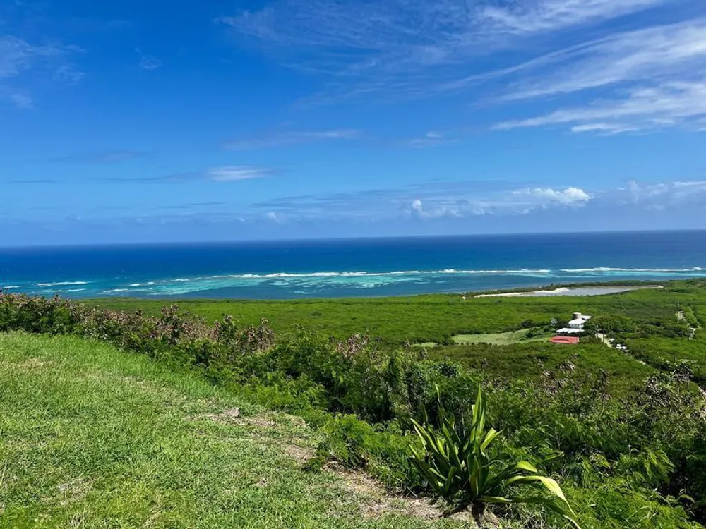 4 Cotton Grove EA St. Croix St. Croix