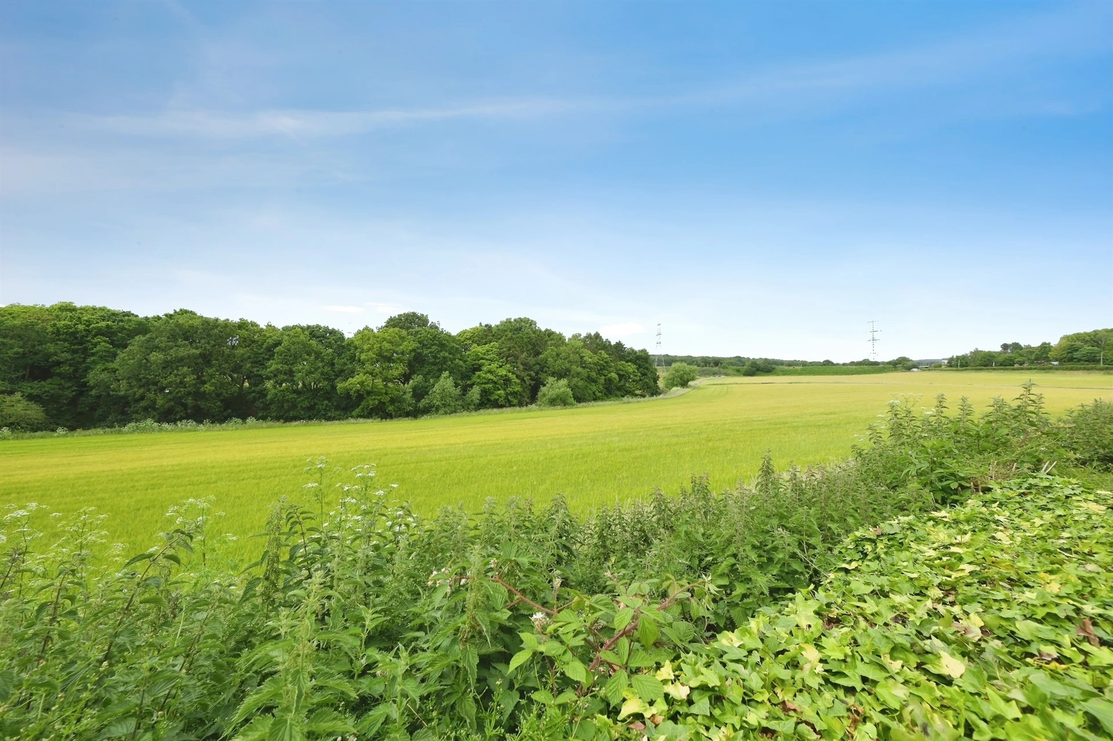 Property photo 23