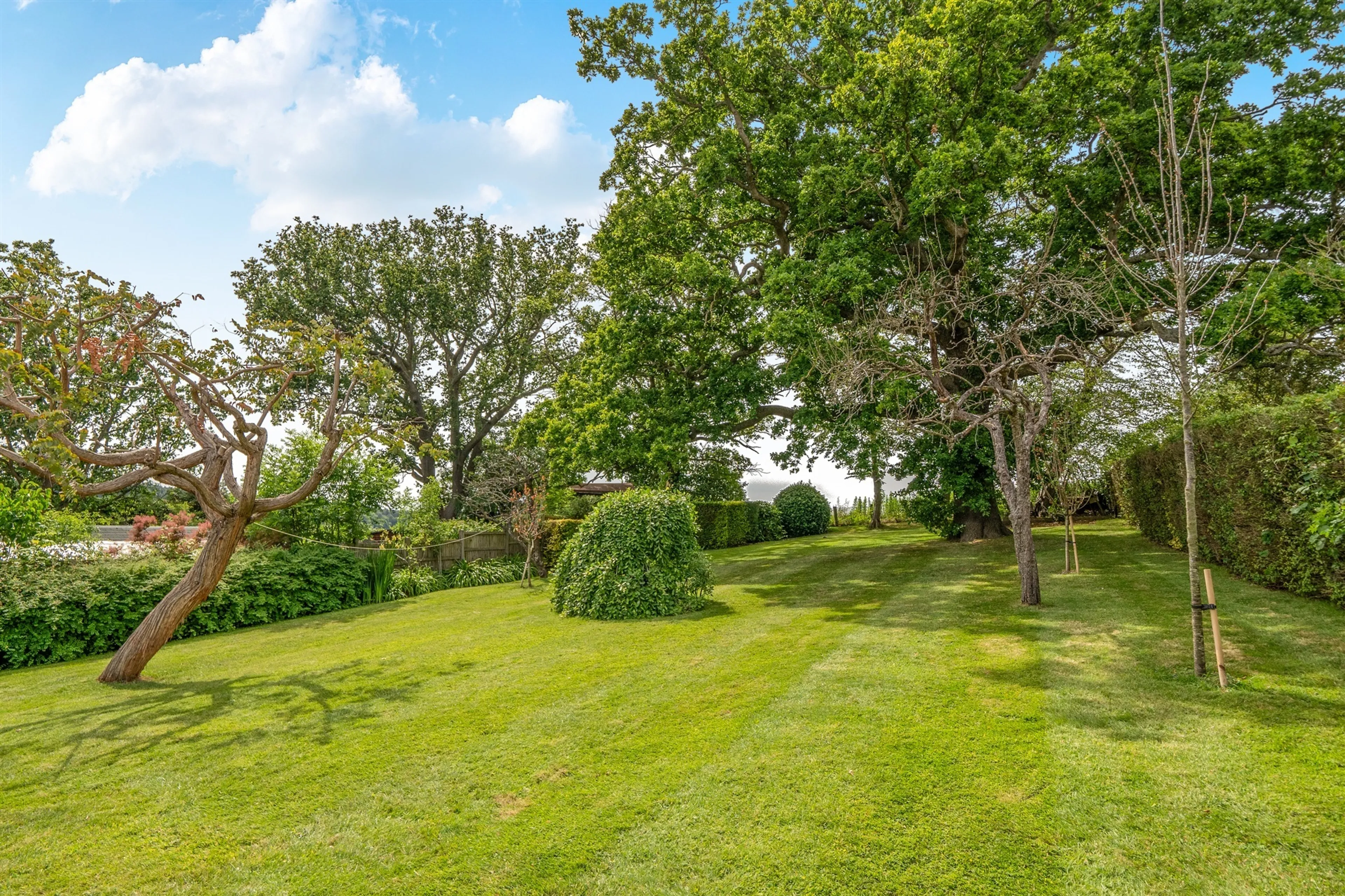 Property at Oak Avenue, Enfield