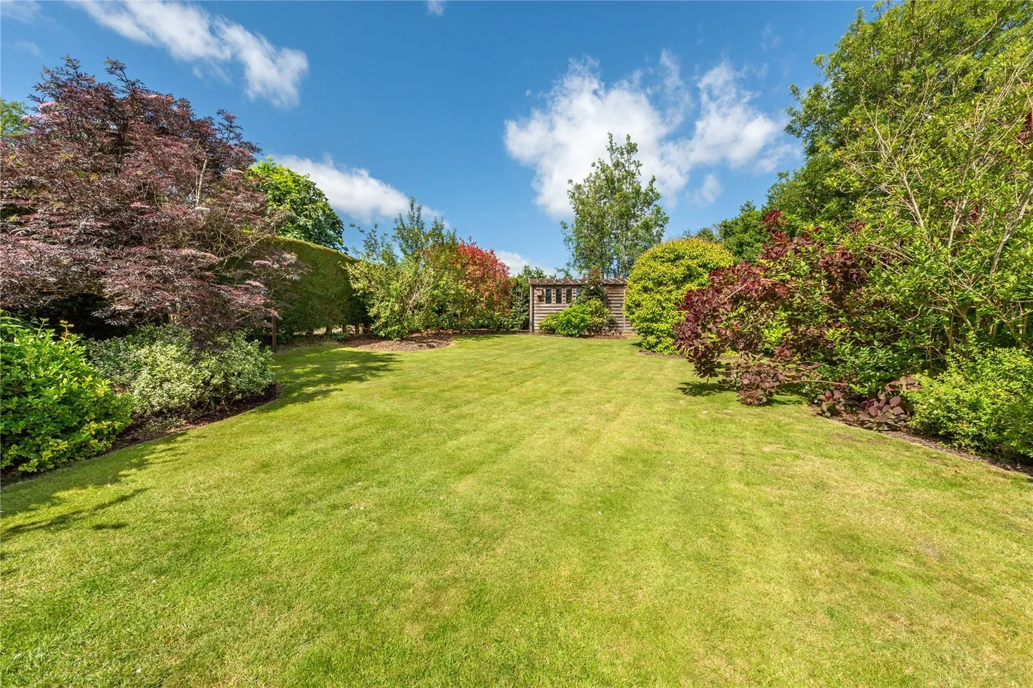 Milton Street, Westcott, RH4 photo 15