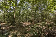 Shaws Lane, Southwater, RH13 photo 22