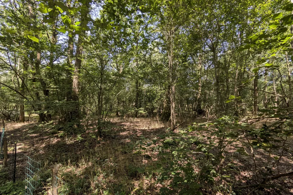 Shaws Lane, Southwater, RH13 photo 22