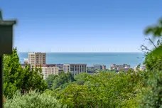 Tongdean Avenue, Hove, BN3 photo 4