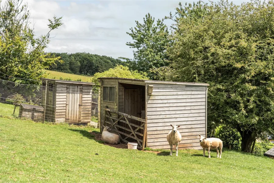 Property Image 21