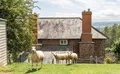 Property image gallery