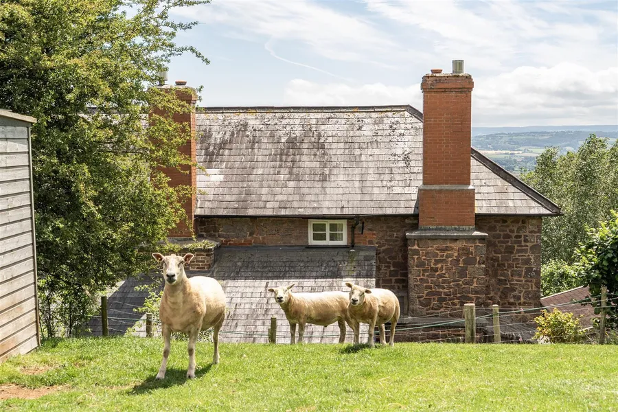 Property Image 32