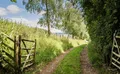 Property image gallery