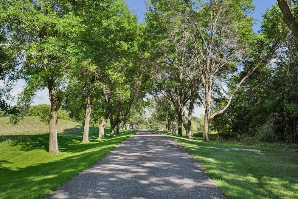 1420 TAMARACK DRIVE, Medina, MN 55356