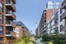 Barry Blandford Road, E3 photo 13