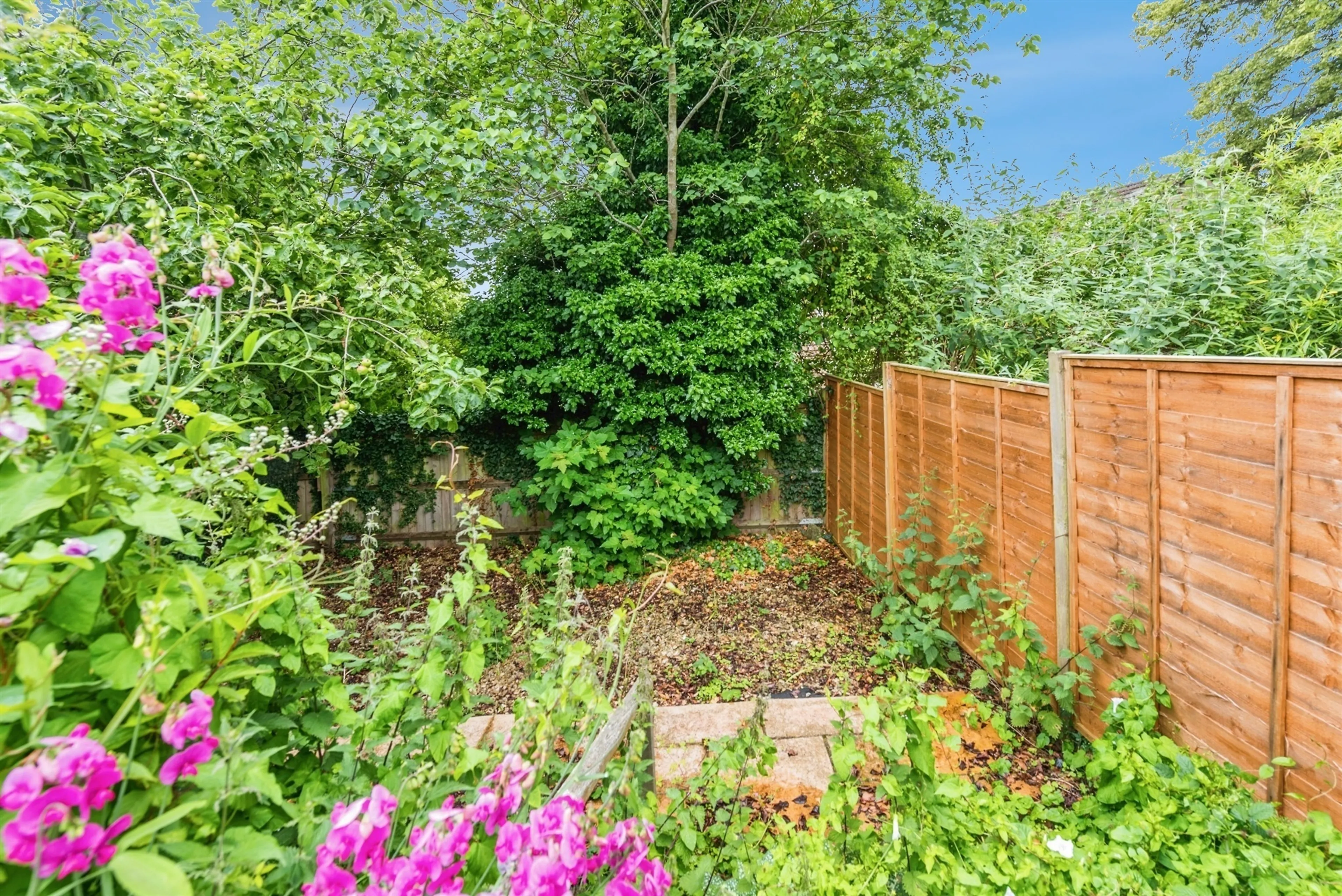 Property photo 16