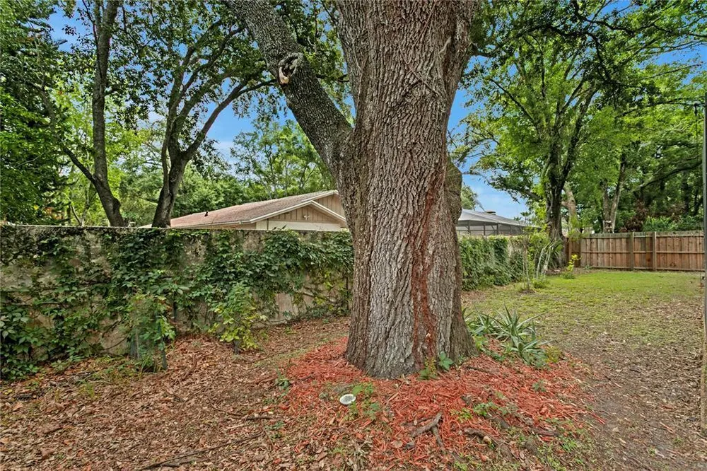 12603 Rain Forest St, Temple Terrace, FL 33617