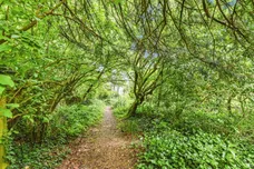 Mells Lane, Chantry, Frome