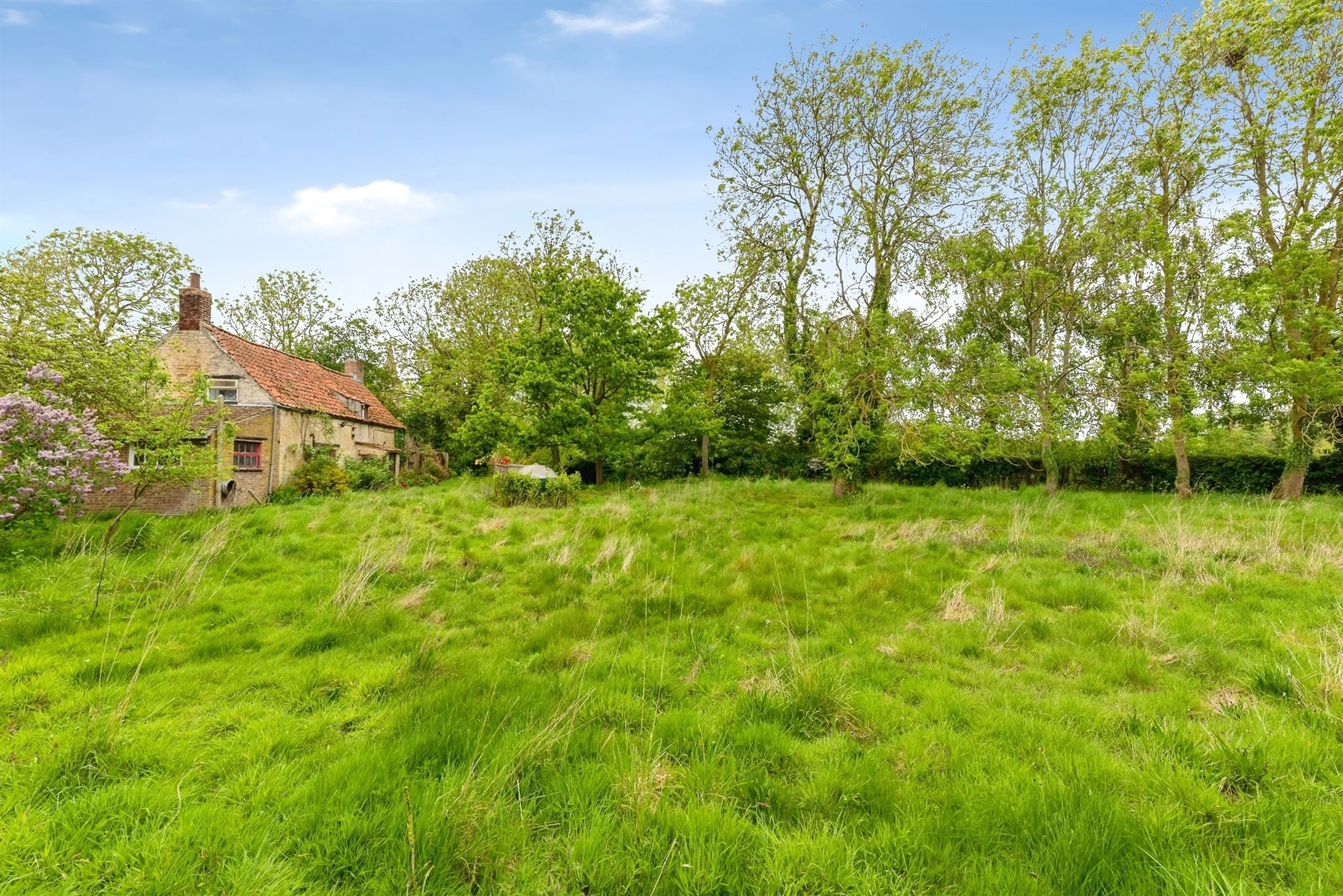 Property photo 18