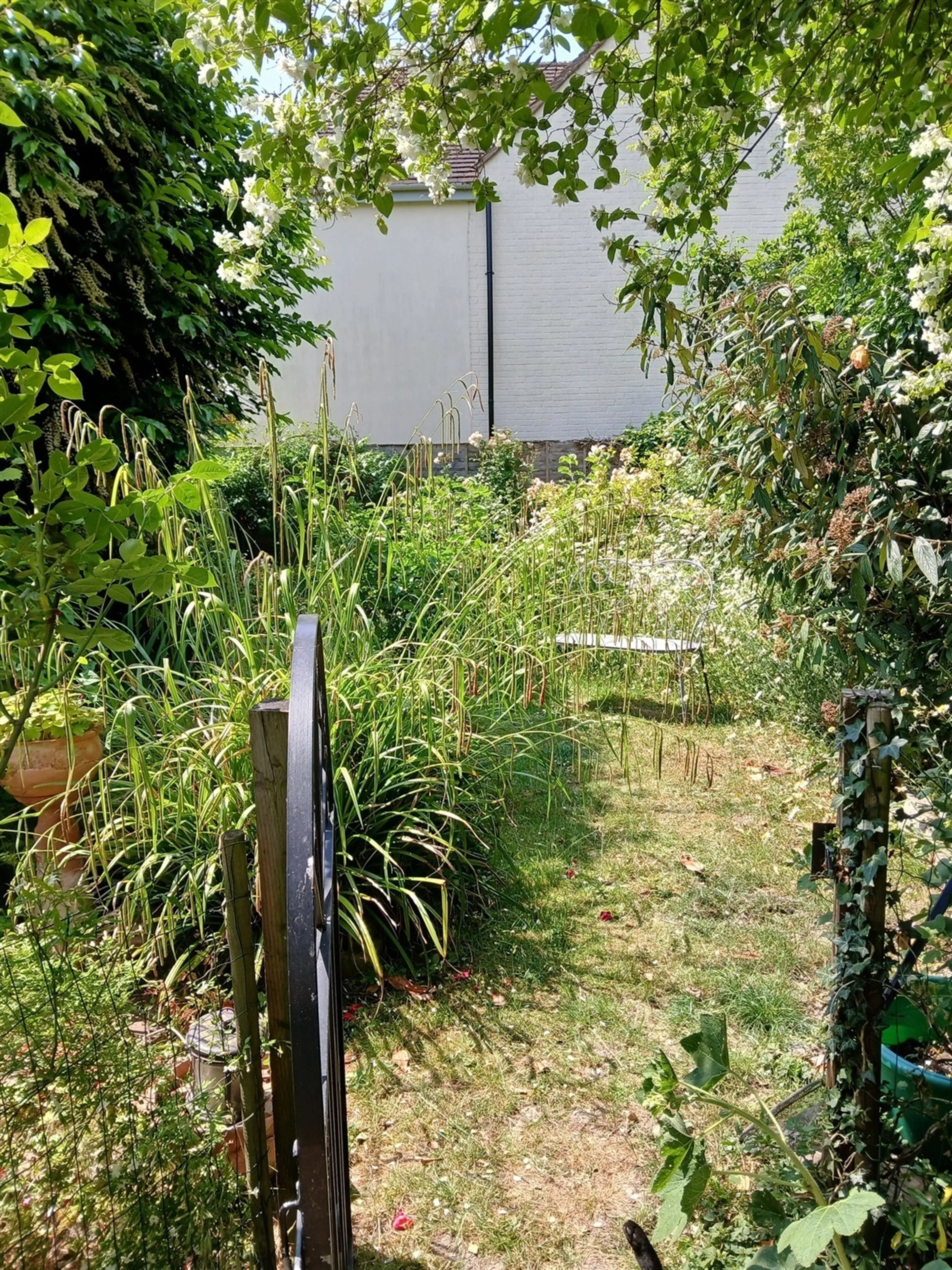 Property photo 16