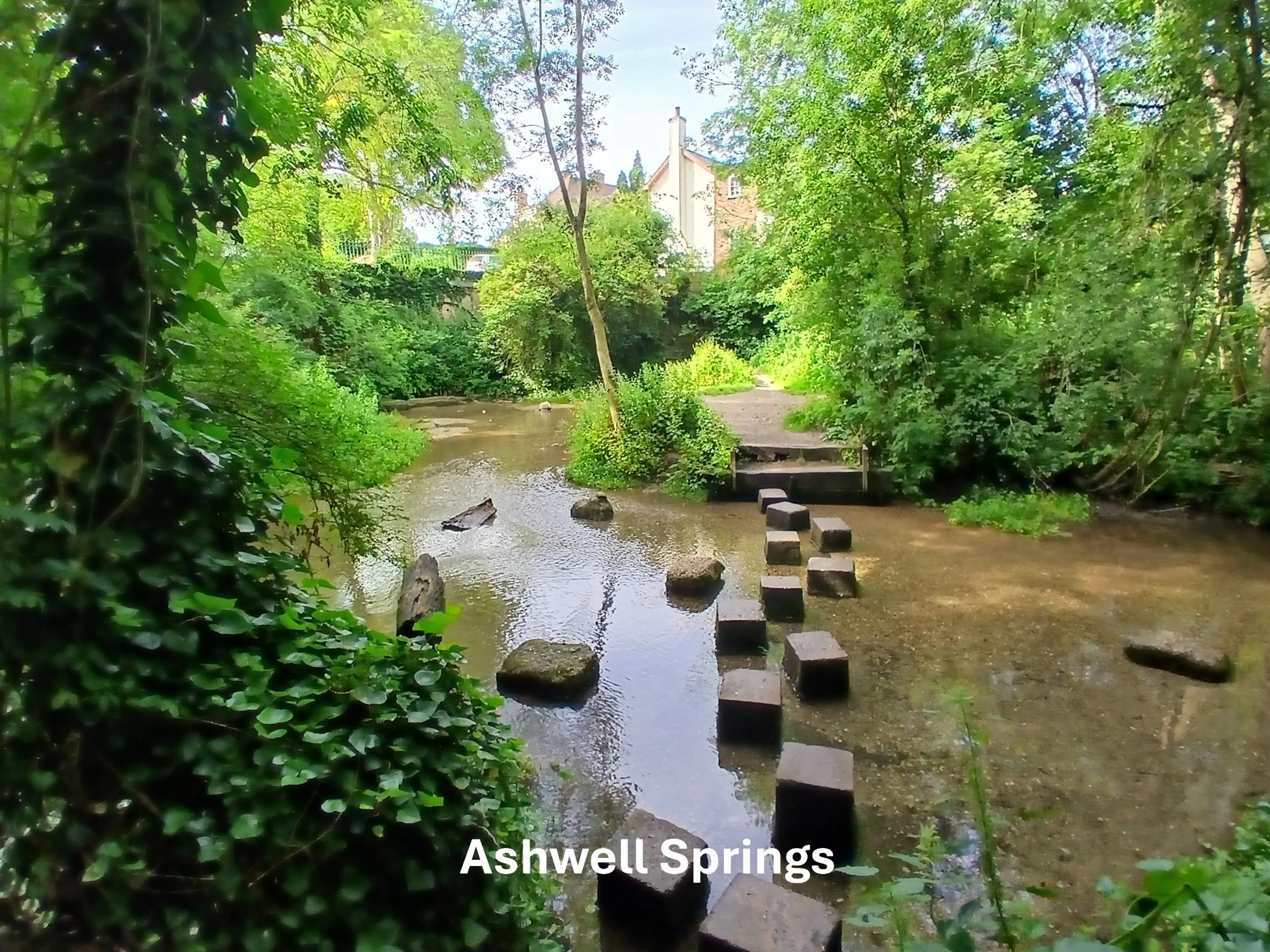 Property photo 17