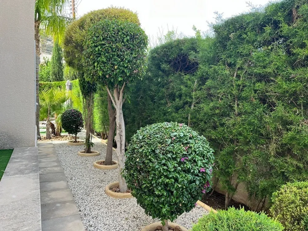 3 B/R Villa with mountain views : Peyia, Paphos