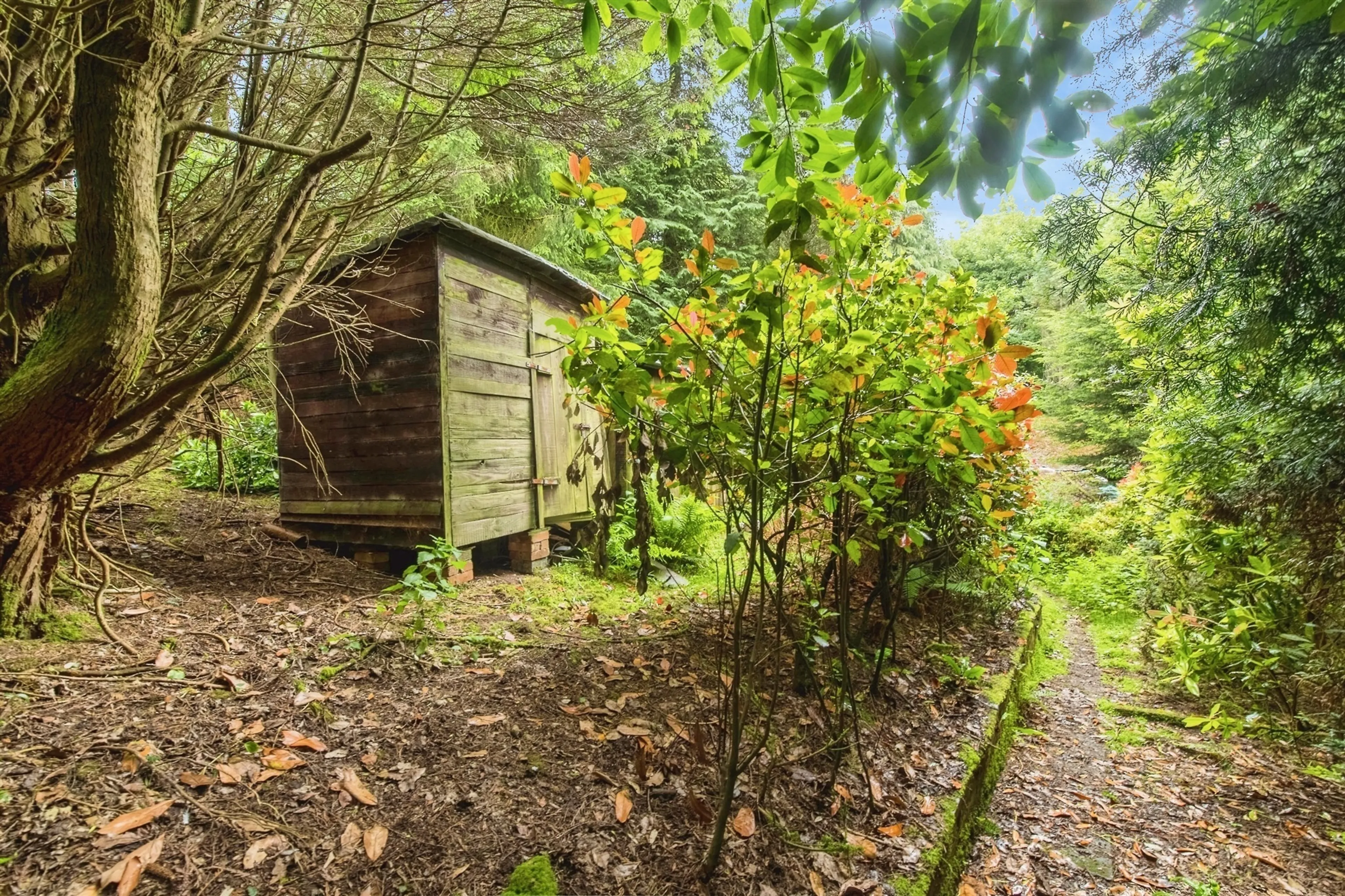 Property photo 7