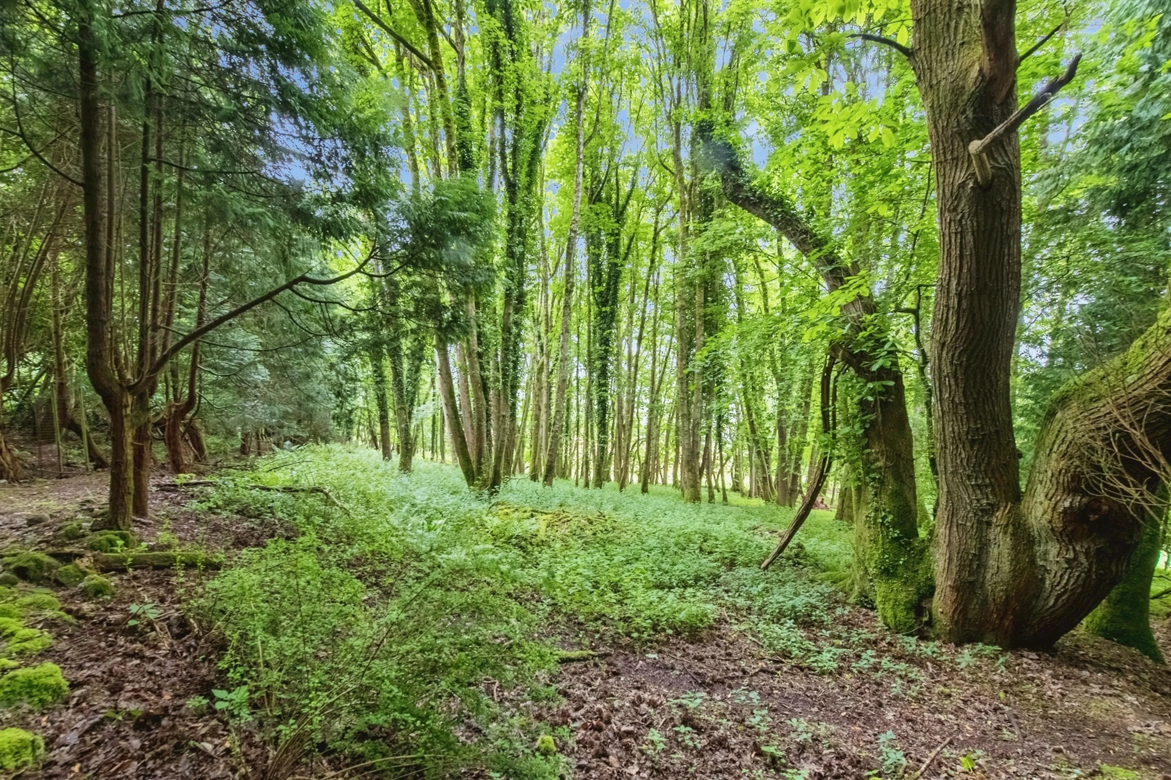 Property photo 10