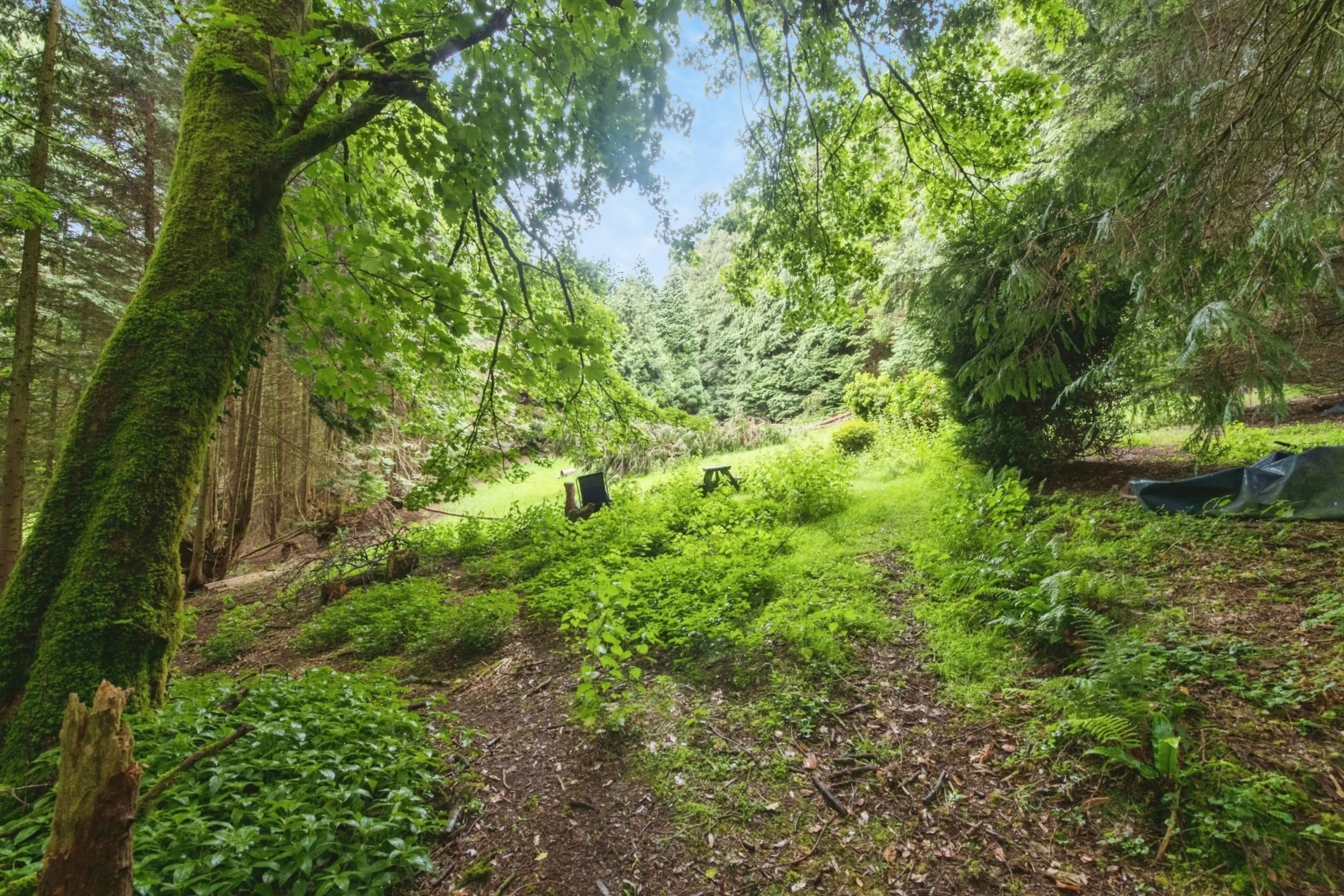 Property photo 14