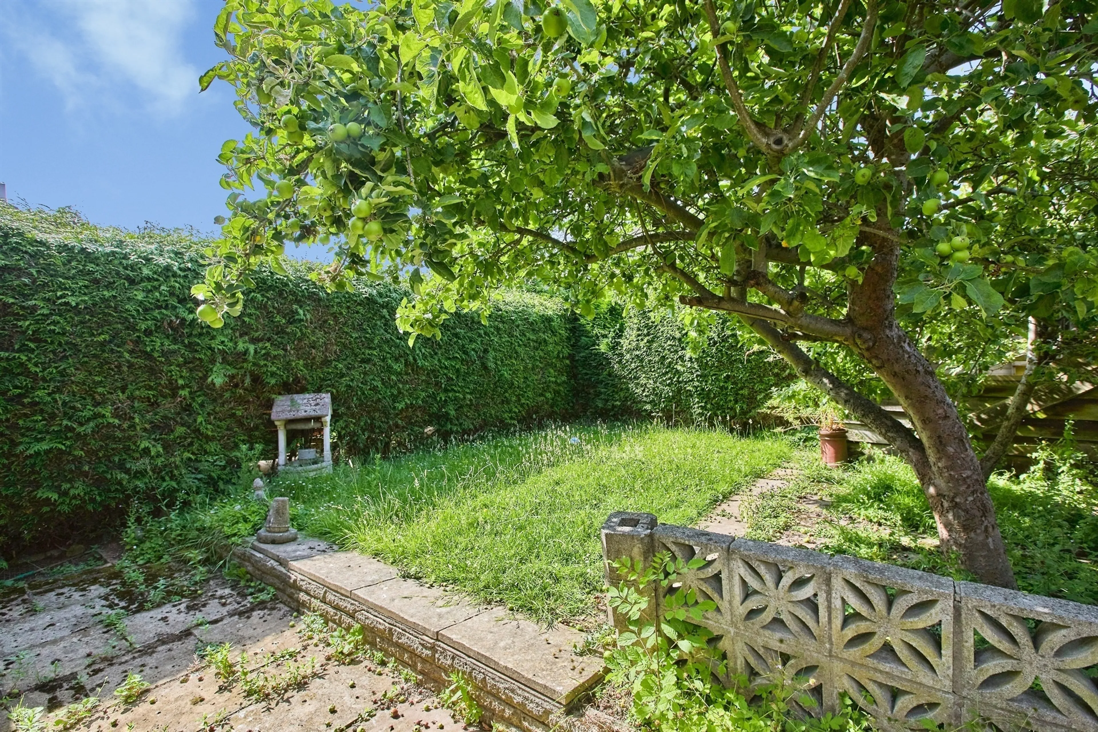 Property photo 19