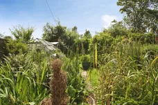 Main Road, Claybrooke Magna, LUTTERWORTH