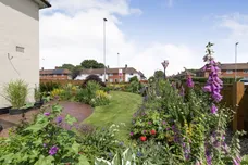 Central Avenue, Billingham