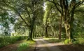 Property image gallery