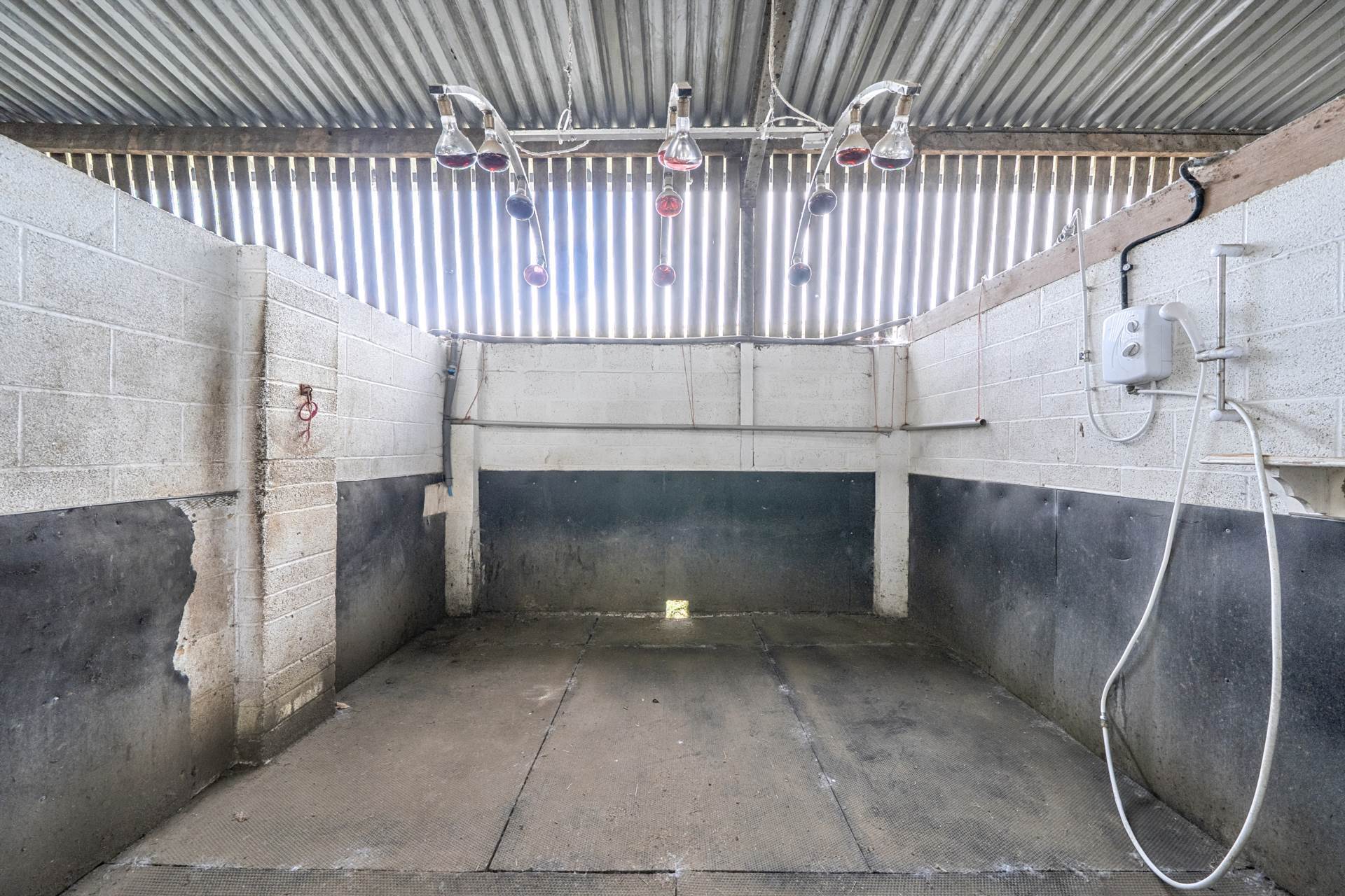Lovington, Castle Cary, Somerset Image 19
