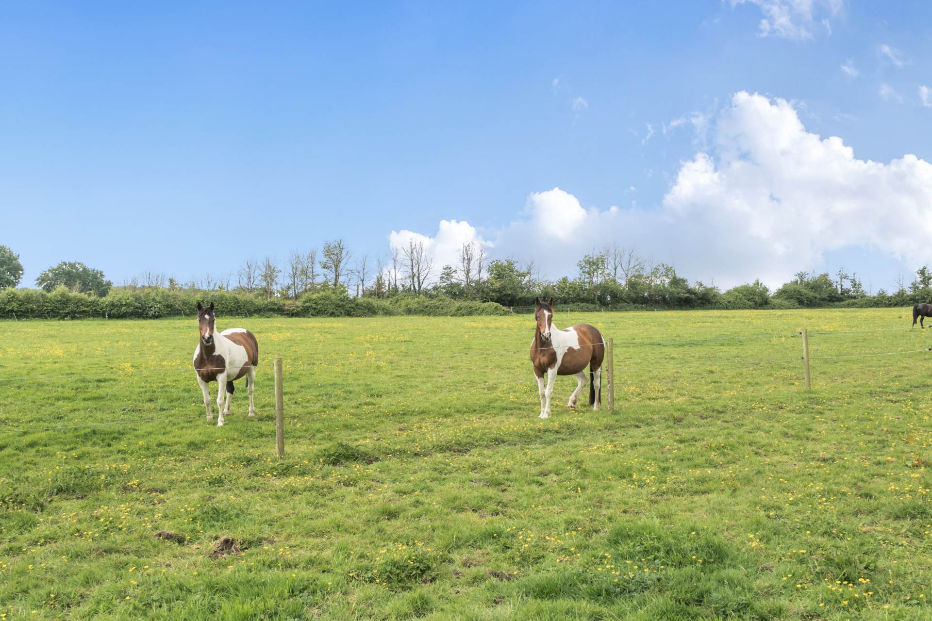 Lovington, Castle Cary, Somerset Image 23