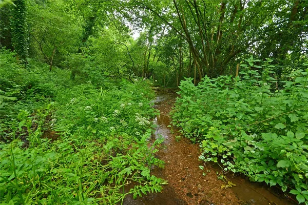 Kenn, Exeter, EX6 photo 16