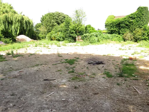 Nene Parade, Marchphoto