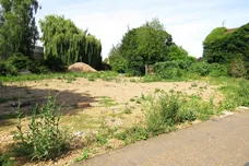 Nene Parade, March