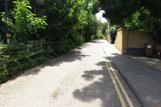 Nene Parade, March