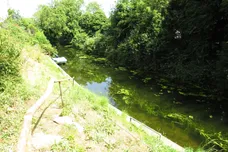 Nene Parade, March