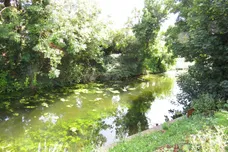 Nene Parade, March