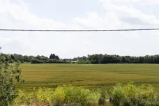 Bakers Lane, Black Notley, Braintree