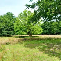 Property 3