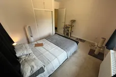 New Buckenham Road, Banham, NORWICH