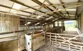 Property image gallery