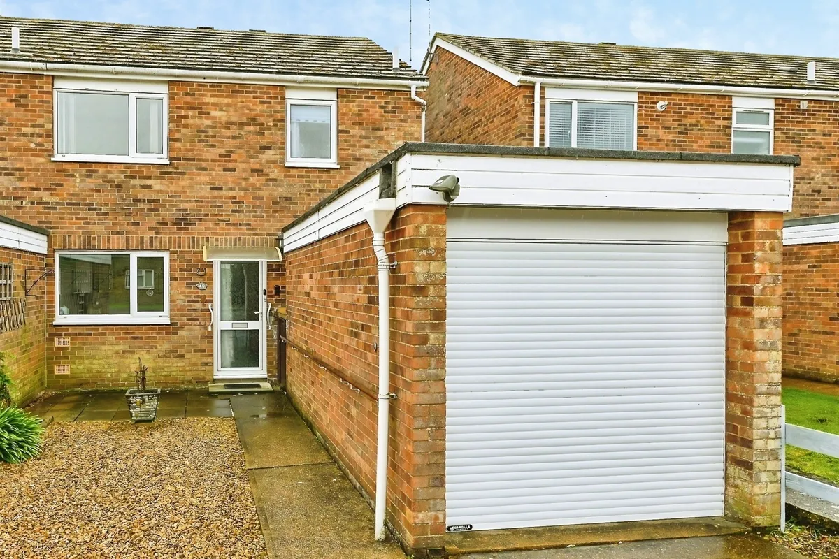 Charlock, King's Lynn