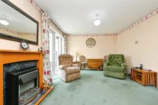 Charlock, King's Lynn