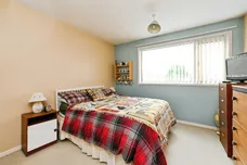 Charlock, King's Lynn