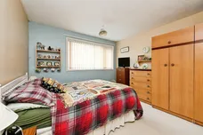 Charlock, King's Lynn