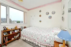 Charlock, King's Lynn