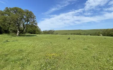 Landcross, Bideford