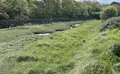 Property image gallery
