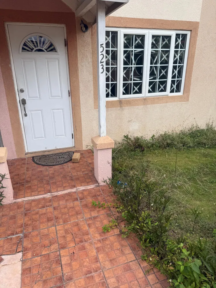 LANTANA Kingston  St. Andrew